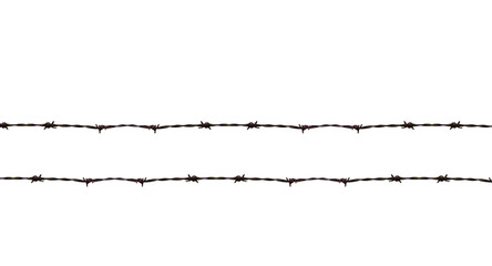 Barbed wire. On isolated transparent background.