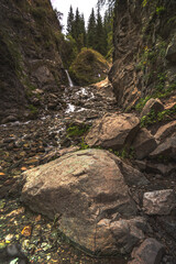 mountain river in the forest