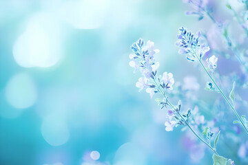 A soft-focus image of lavender flowers against a dreamy blue background.