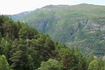 Majestic Forests and Rugged Cliffs in a Verdant Mountainous Landscape