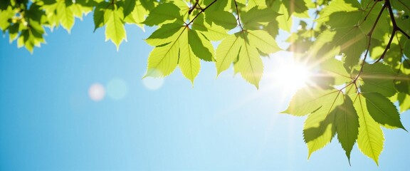 Obraz premium Vibrant Green Leaves Basking in Sunlight Against Clear Blue Sky with Copy Space