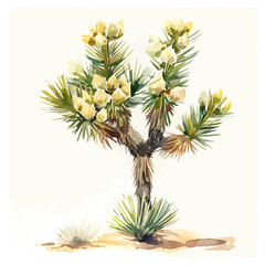 A watercolor painting of a Joshua Tree, isolated on a white background. Joshua Tree vector.