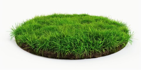 A vibrant green ecological circle of grass, promoting circular gardening for sustainable living and reduced carbon footprint.