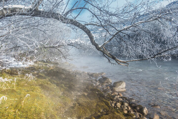 Morgenfrost an den Ästen eines Baumes am Flussufer