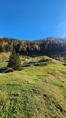 Greeny landscape in Austrian Mountains