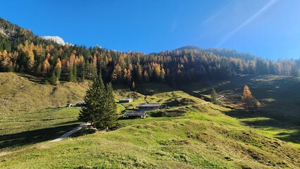 Greeny view in Austrian Mountains