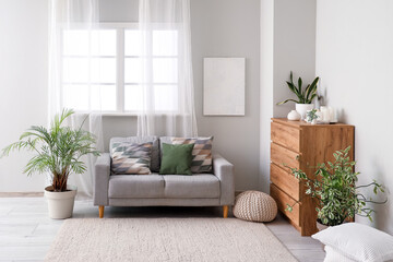 Interior of light living room with soft carpet, sofa and plants