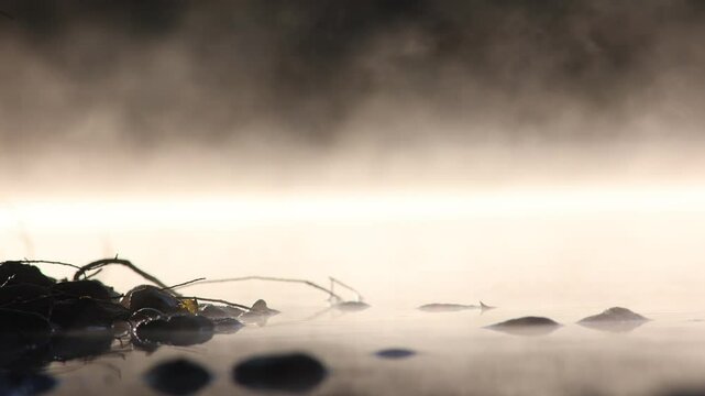 water vapor in the morning on the surface of the river adda