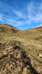 Austrian meadow view