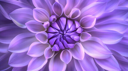 A close-up of a beautiful purple flower with intricate petal details.