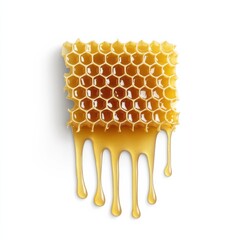 Golden Honeycomb Dripping with Fresh Honey