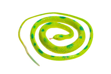 Fake green snake, rubber animal toy isolated