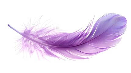 Gently Curved and Isolated on a White Background, Showcasing Its Delicate Texture and Vibrant Color