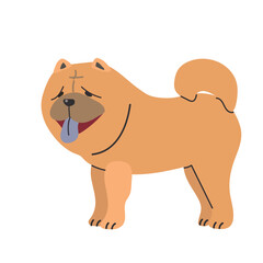 Chow chow icon clipart avatar logotype isolated illustration