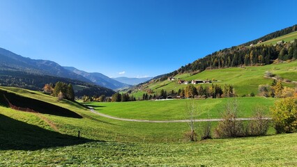 Landscape with green grass in Italian Alps