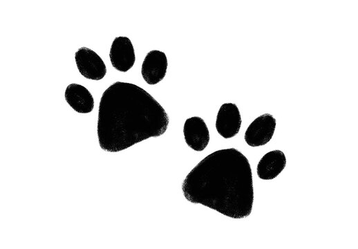 Naklejki Dog paws 