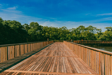 The Mallorquín swamp seen from the pier and blue sky. Barranquilla, Atlantico, Colombia.