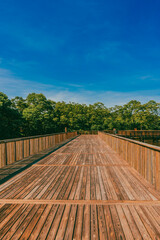 The Mallorquín swamp seen from the pier and blue sky. Barranquilla, Atlantico, Colombia.