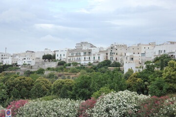 Fototapeta premium Ostuni 1