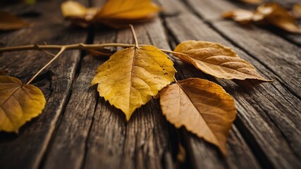 Close up of yellow and brown autumn leaves