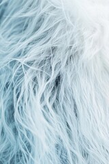 Close-up of soft, fluffy, light blue fur texture.