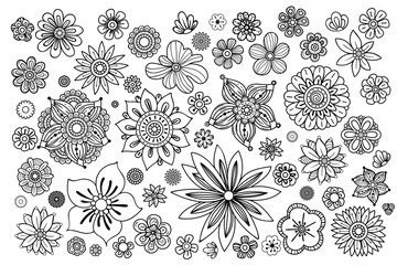 Hand drawn flowers collection. Floral design elements set. Black and white vector illustration in doodles style. Isolated on white background.