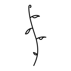 simple and modern vector illustration of a leaf