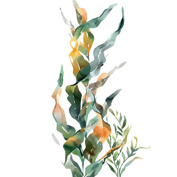 watercolor seaweed plants on white background clip art preview