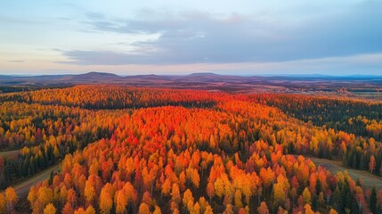 Aerial view of vibrant autumn forest landscape at sunset.