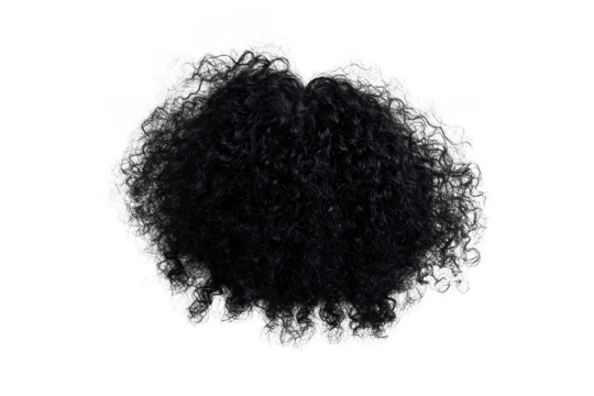 Curly disheveled African black hair on a png transparent background.