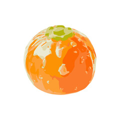 vector vegetable fruit illustration on white background