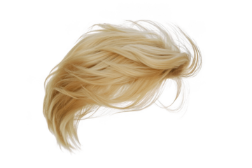 Blond human male hair wig isolated on a png transparent background.