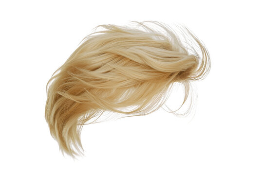 Blond human male hair wig isolated on a png transparent background.