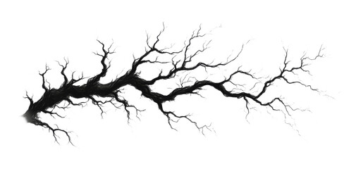 Fototapeta premium Black lightning bolt with intricate branches on transparent background, energy and nature concept
