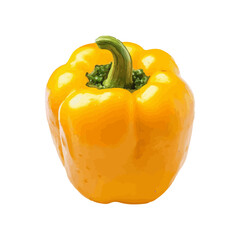 vegetable fruit vector illustration isolated on white background