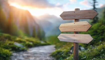 rustic wooden signpost arrows direction mountain landscape