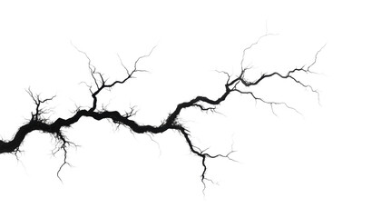 Black branches create an artistic illustration, cut out - stock png.