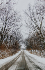 winter road
