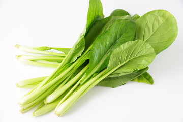 新鮮な小松菜