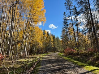 Obraz premium Walking Hiking Outdoors on a Trail in Autumn Fall