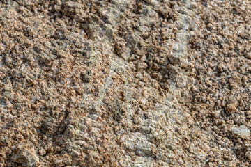 Lost Palms Oasis Trail Colorado Desert section of the Sonoran Desert. Joshua Tree National Park California，Mesozoi Plutonic Rocks, Gray biotite - rich granodiorite to quartz diorite. granite.