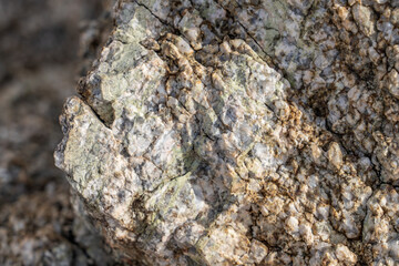Lost Palms Oasis Trail Colorado Desert section of the Sonoran Desert. Joshua Tree National Park California，Mesozoi Plutonic Rocks, Gray biotite - rich granodiorite to quartz diorite. granite.