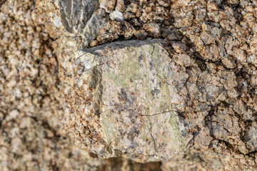 Lost Palms Oasis Trail Colorado Desert section of the Sonoran Desert. Joshua Tree National Park California，Mesozoi Plutonic Rocks, Gray biotite - rich granodiorite to quartz diorite. granite.