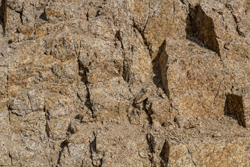 Cottonwood Spring，Colorado Desert section of the Sonoran Desert. Joshua Tree National Park, California. 	
Mesozoi Plutonic Rocks, Gray biotite - rich granodiorite to quartz diorite. granite. 
