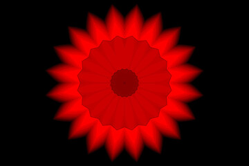 red gerbera flower