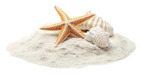 Colorful starfish and seashells on sandy beach, cut out - stock png.