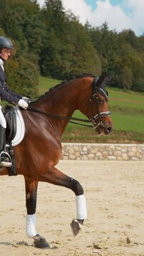 SUPER SLOW MOTION: English dressage horseback rider galloping on her beautiful stallion during a competition. Young Caucasian woman in formal clothes riding her chestnut gelding around the manege.