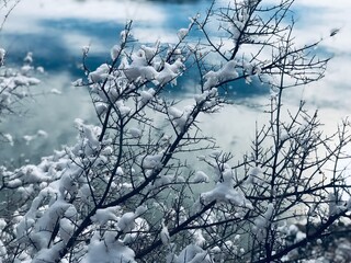 Winter Snow and Ice Moab Utah