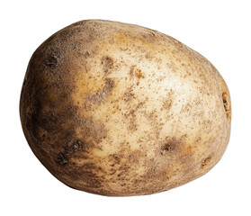 Fototapeta premium Earthy-textured, vibrant natural potato, cut out - stock png.