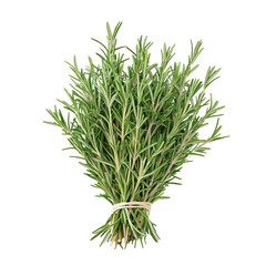 Fototapeta premium A bunch of fresh rosemary flat lay shot